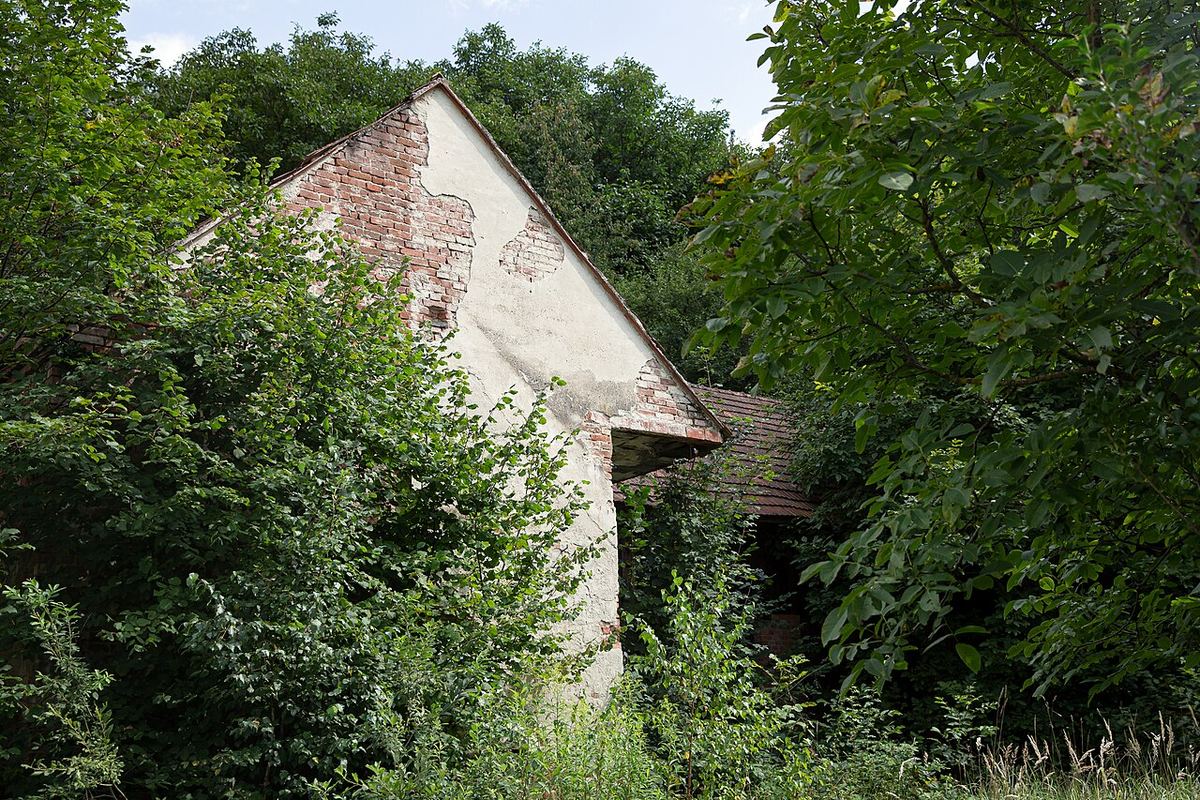 Burgenland Landschaft mit Wohnhäusern — Symbolbild zum Thema Analyse