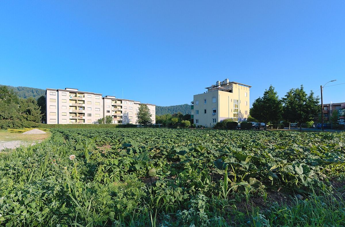 Wohnhauser in Graz — Symbolbild zum Thema Marktbericht